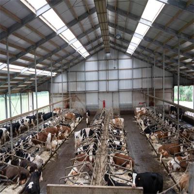 China Steel Fabricated House Cheap Prefab Prefab Lightweight Steel Cattle Shed Farm Modern Cow Shed Structures Barns Building Construction for sale