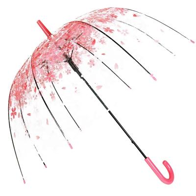 China Modern Bubble Umbrella Cherry Blossoms Transparent Umbrella Clear for Boys or Women Girls Kids Auto Open Dome Umbrella for Outdoor for sale