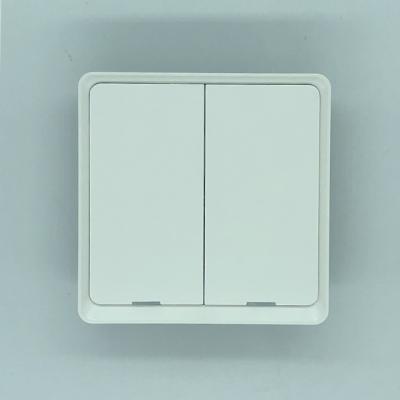 China Security New Arrival Wall Switch 2 Strip Smart Wall Switch Wireless WIFI Lamp Switch Tuya APP Remote Swith WIFI for sale