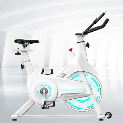 China Home Gym Free Custom Indoor Exercise Decals Use SD-S501 Magnetic Spin Bike With 8 Kg Flywheel for sale