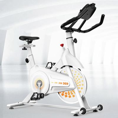 China Exercise Fitness Equipment 150kg Capacity Indoor Magnetic Spin Bike Home Use SD-S501 New Design For Sale for sale