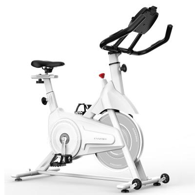 China Universal Exclusive Discounts SD-S501 Gym Equipment Magnetic Resistance Home Spin Bike For Sale for sale