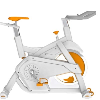 China New Use 150kg 2021 Home Use Belt Drive Spinning Indoor Bike Body Cycle for sale