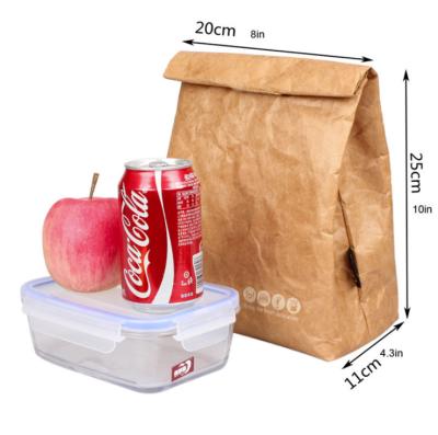 China Manufacturer In China Fancy Recyclable Thermal Insulated Top Roll Up Tyvek Lunch Cooler Bag Wholesale for sale