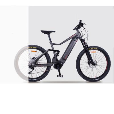 China Luxury electric bike china electric bicycle chinese electric MTB bicycle e-bike for sale