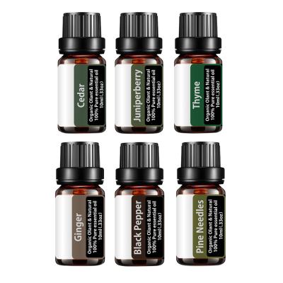 China Skin Revitalizer Private Label Essential Oil Set Perfumes Plant Organic Natural 100%Pure Aromatherapy Essential Oil for sale