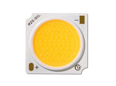 China Chip LED a prueba de agua COB 30W para iluminación de color ANSI estándar en venta