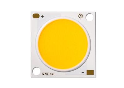 China 300W Iluminação Residencial COB LED Chip CRI 95 5400mA Com Espectro Completo à venda