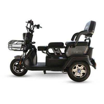 China 2021 Cheaper Strong Adult Electric Bike Trike Passenger Power Electric Tricycle Cargo Other Electric Tricycles Three Wheel for sale