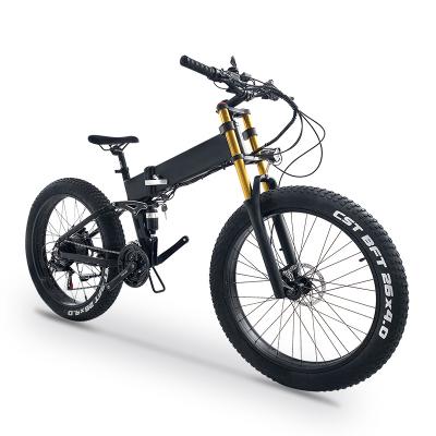 China Aluminum Alloy Lithium Battery Long Range E-bikes Bicicletas Electricas China Folding Electric Bicycle for sale