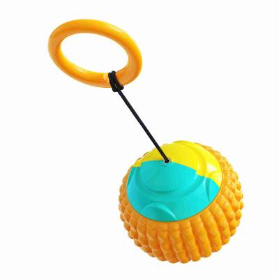 China New Arrival Viable Durable Hand Chew Ball Toy Luxury Pet Toys Throwing Ball for sale