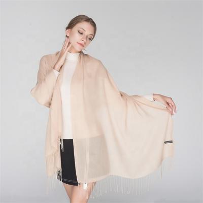 China New Designer Trendy Custom Fashion Warm European American Women Long Scarf Neck Shawl Tassel Scarf for sale