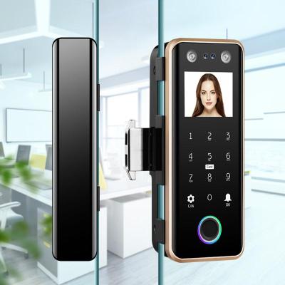 China Apartment Face Recognition Smart Glass Door Locks Fingerprint Password Card Office Sliding Glass Door Lock for sale