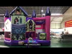 Princess castle with slide combo