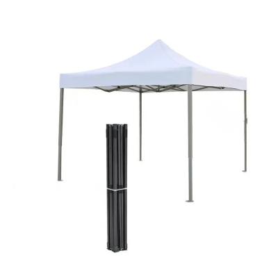 China Waterproof Outdoor Customized Roof Printing Steel Frame 10x10 Trade Show Tent for sale