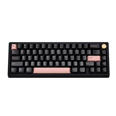 China Custom Mechanical Keyboard DIY Kit Full Aluminum Case 65 Keys Lubricant Switch Tool Keyboard for sale