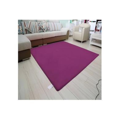 China New Design 1.5cm Carpet Best Quality Modern Living Room Non Slip Cover for sale