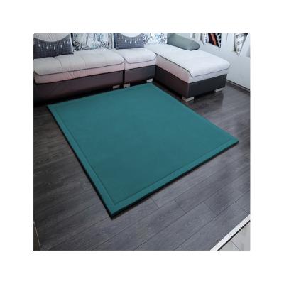 China Modern Wholesale Fashion 2 Cm Thick Fleece Fabric Outdoor Living Room Floor Rugs for sale