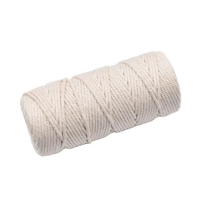 China Very Soft on Hands 2mm 3mm Twisted Cotton Twine Rope Macrame Twine Rope for sale