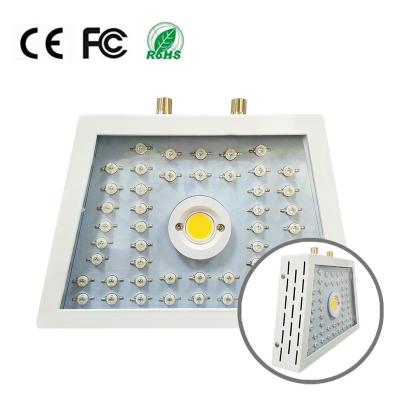 China Iron+Acrylic 1100W Trapezoid Type Led Grow Lights For Greenhouse Balcony To Grow Seedings To Grow Lights for sale