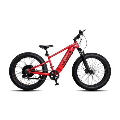 China Hot sale 48V 500W 750w 14Ah lithium battery motor aluminum alloy 26 inch fat tire electric mountain bike for sale