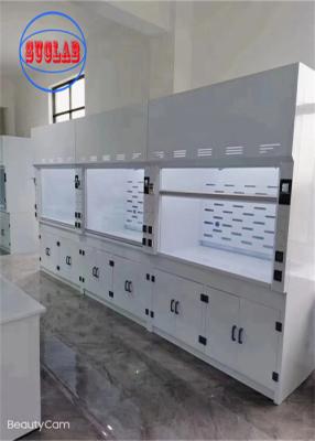 China 220V Chemical Fume Hood Lab Acid Fume Hood Pared montada con estructura horizontal en venta