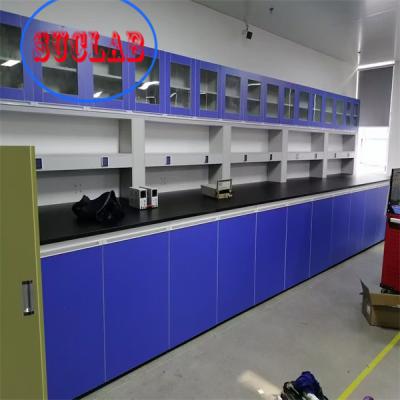 China Modular Lab Furniture Suppliers Hong Kong Fast Installation and Stainless Steel for State-of-the-Art Labs en venta