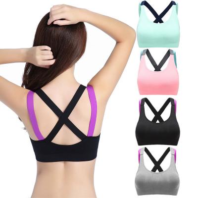 China Sexy Cross Back Four Way Stretch Strap Colorful Women Padded Seamless Wireless Crop Top Ladies Yoga Fitness Workout Gym Sports Bra for sale