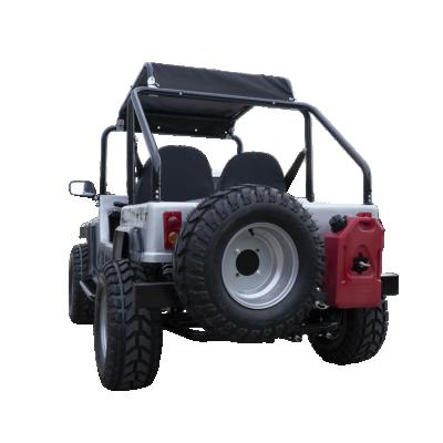 China Newest hot sale buggy CTV 150CC mini utv for kids 5.5L for sale