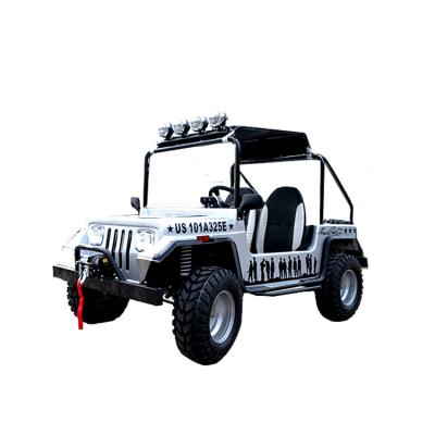 China Cheap Hot Sale 2 Seat Car Dune Buggy Utv 5.5L for sale