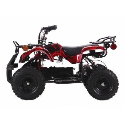 China Ride On Powerful Toy Fashion Style 4 Wheeler Motorcycle ATV 800W Electric Scooters For Adults for sale