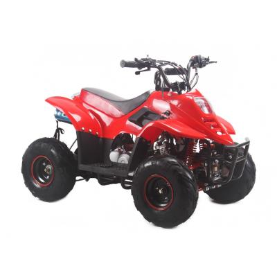 China Ride On Toy New Model Adult Electric ATV 36v Kids Cheap Custom Color Electric Quad Bike ATV With Big Wheel for sale