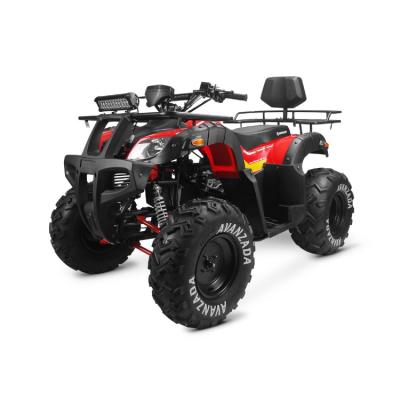 China Ride On Toy A High Performance 4 Wheeler Quad Bike Atv For Kids And Adult 4x4 High Quality Atv for sale