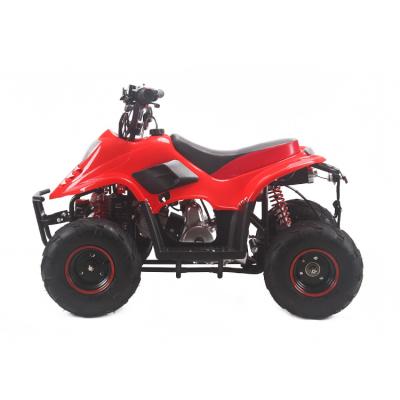 China 110cc Gas Powered Go Carts Four Wheel Cars Go Kart For Adults 145/70-6 Tubeless for sale