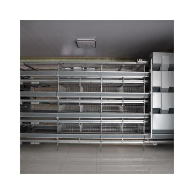 China Farms Fine Quality Farm Equipment Chicken Cage Poultry Chicken Layer Cages for sale