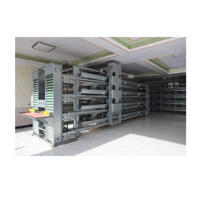 China Various Chicken Farms Factory Sale Chicken Cage Cage Door Automatic Chicken Cage for sale