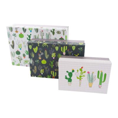 China Handmade Green Cactus Valentine's Day and Wedding Anniversary Gift Cardboard Set 3 Piece Set for sale