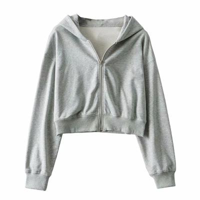 China Women Solid Color Breathable Extra Short Zipper Up Tracksuits Fitness Belly Casual Slim Hoodies With Hood Fashion Women Street Hoodies zu verkaufen