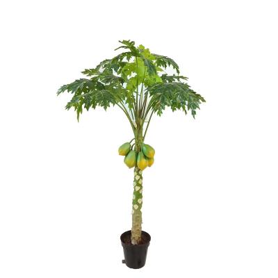 China High Quality Eco-friendly Artificial Bonsai Plants Indoor Plastic Artificial Papaya Tree 160cm for sale