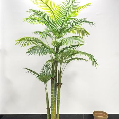 China Eco-friendly Decoration Artificial Indoor Palm Tree Palm Tree Plants for sale