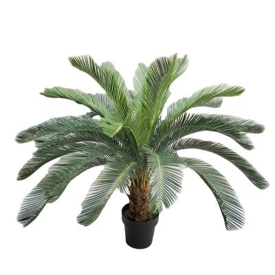 China Environmental Friendly Artificial Cycad Tree Decoration Greenry Artificial Plants for sale