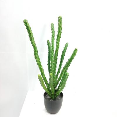 China High Quality Eco-friendly Simulation Artificial Plastic Plant Decorative Indoor Cactus for sale