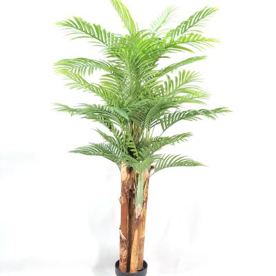 China Traditional Artificial Plastic Palm Tree Decoration Palm Tree Plants for sale