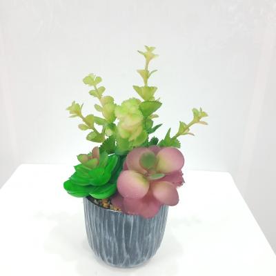 China Modern High Quality Simulation Plant Outlet Decorative Plastic Artificial Succulent for sale