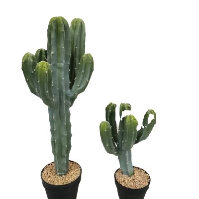 China High Quality Artificial Potted Cactus Home Or Hotel Decoration Eco - Friendly Plants for sale