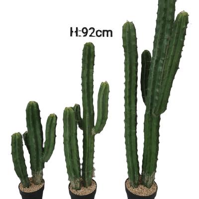 China Mexico Eco - Friendly Artificial Cactus Plants Potted Cactus Plants Hotel Or Home Decoration Small for sale