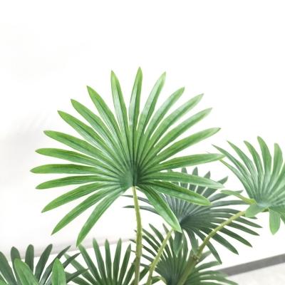 China Eco-friendly Decoration Artificial Palm Fan Palm Tree Plants for sale