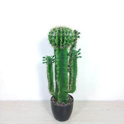 China Popular Hot Sale Artificial Plastic Mini Bonsai Plants Decorative Cactus for sale