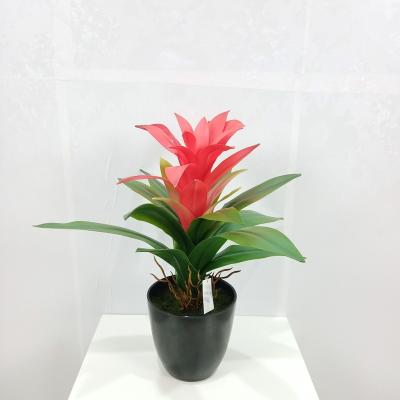 China Everygreen New Design Artificial Plastic Plants Decorative Artificial Flower for sale