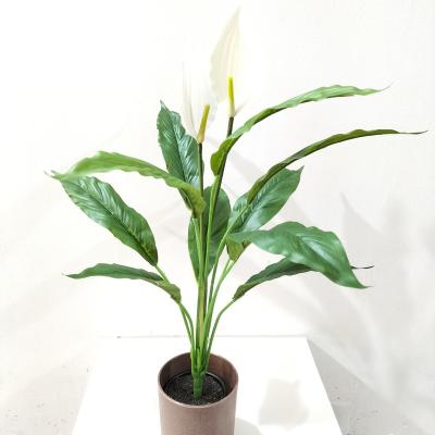 China eco-friendly artificial spathiphyllum flowers for sale